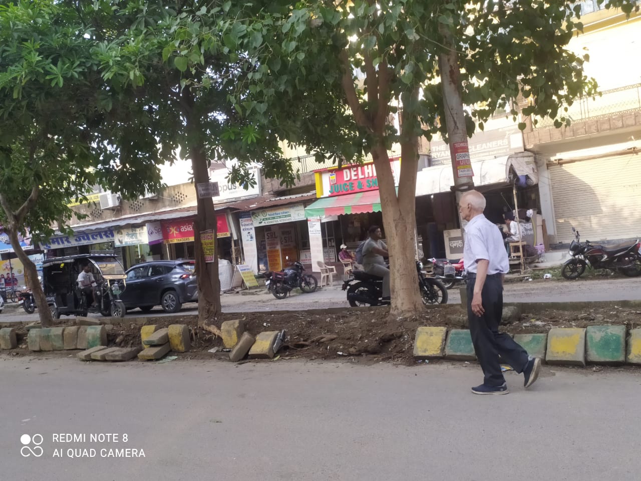 *पेड़ों को बचाने में नगर निगम का महत्वपूर्ण योगदान कब दिखेगा?*