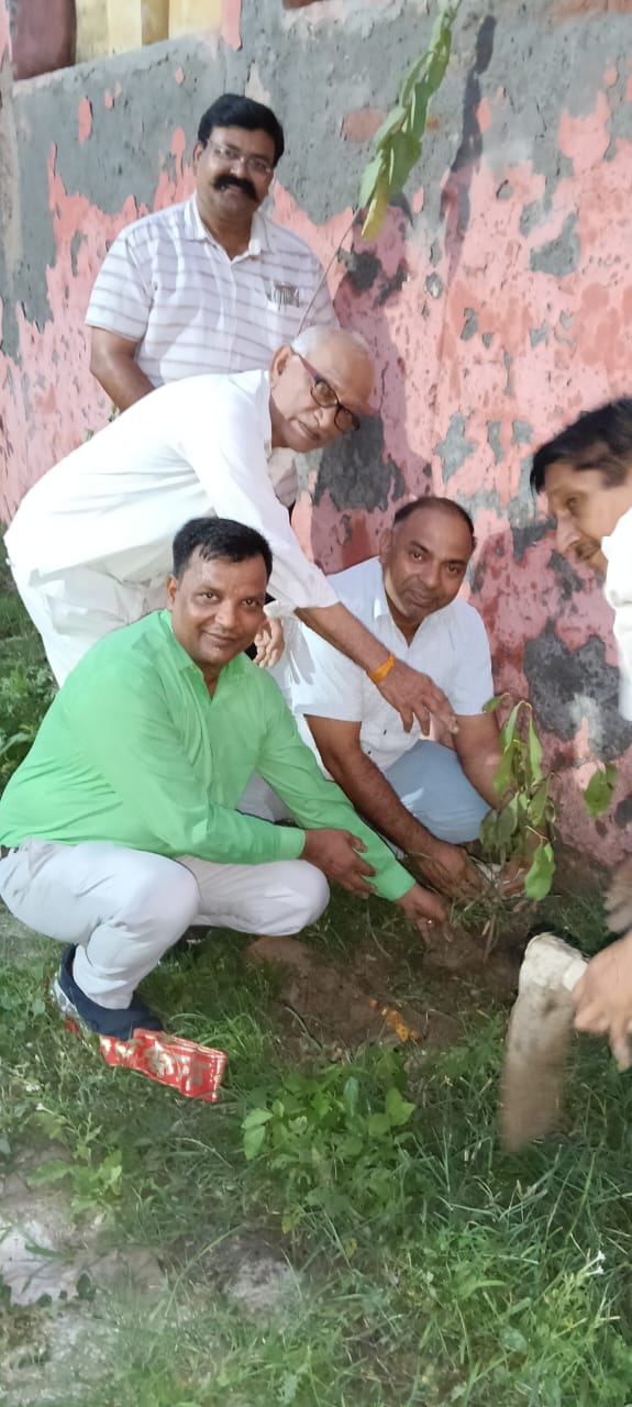 आओ पेड़ लगाए