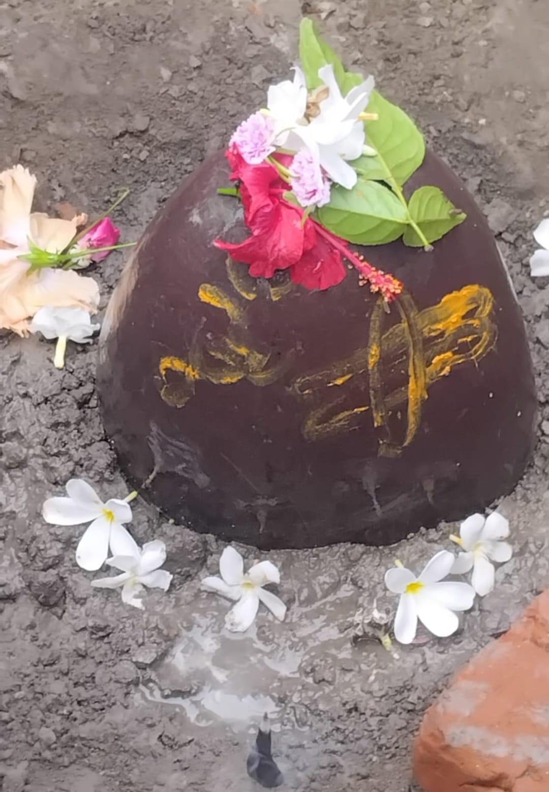 पोखर सौंदर्यीकरण के दौरान खुदाई में निकली प्राचीन शिवलिंग ,उमड़ी भारी भीड़ पूजा-पाठ शुरू
