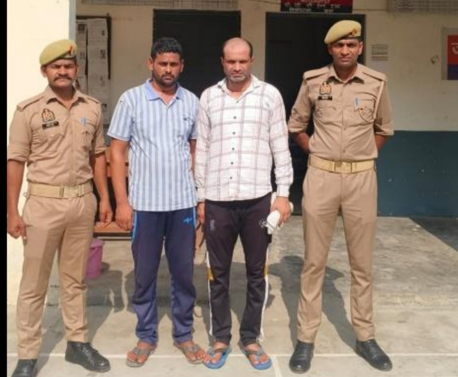 चोरी हुए   बैल सहित, दो वांछित अभियुक्त गिरफ्तार