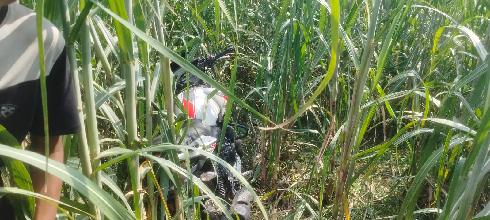 लावारिस हालत में गन्ने के खेत में मिली बिना नंबर की मोटरसाइकिल, क्षेत्र में मचा हड़कंप पुलिस जांच में जुटी